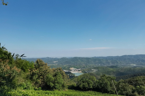 Shanghai: Tribute Tea Path Family Hike & Cooking Day