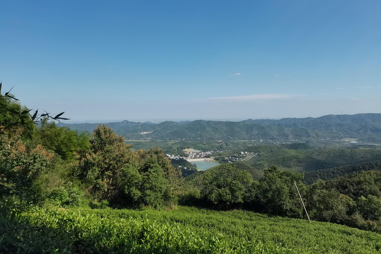 Shanghai: Tribute Tea Path Family Hike & Cooking Day