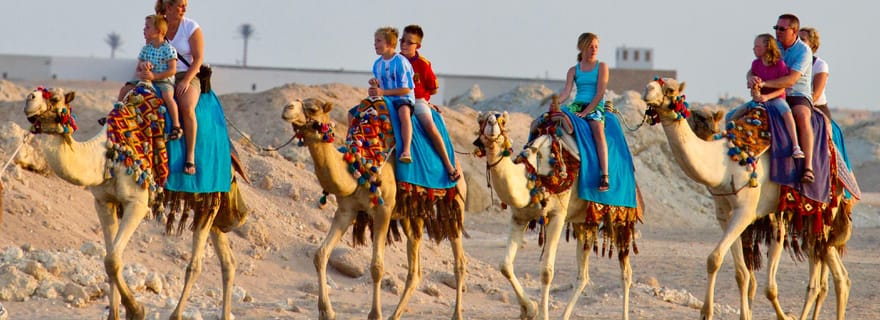 Hurghada : balade à dos de chameau, lagon bleu, barbecue et étoiles