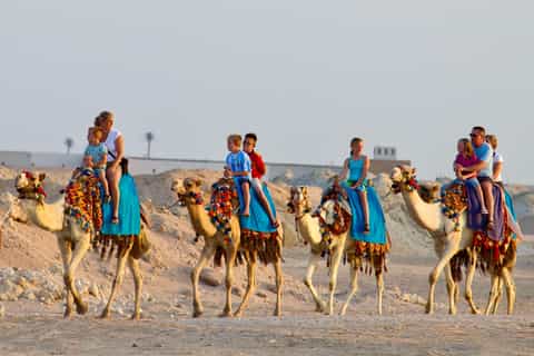Hurghada : Balade à dos de chameau, Blue Lagoon, barbecue et observation des étoiles