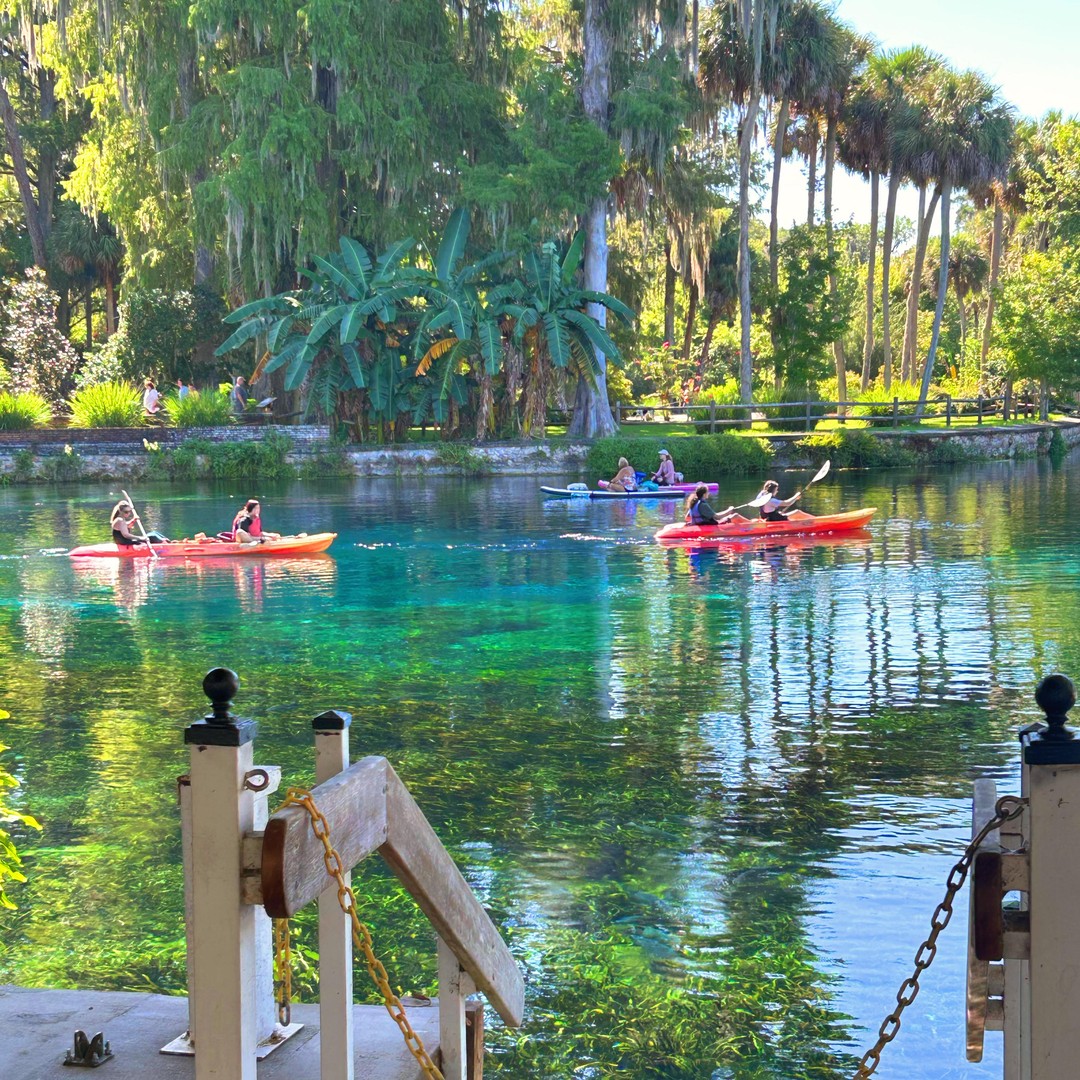 Silver Springs: Jungle Kayaking & Paddleboarding Adventure | GetYourGuide