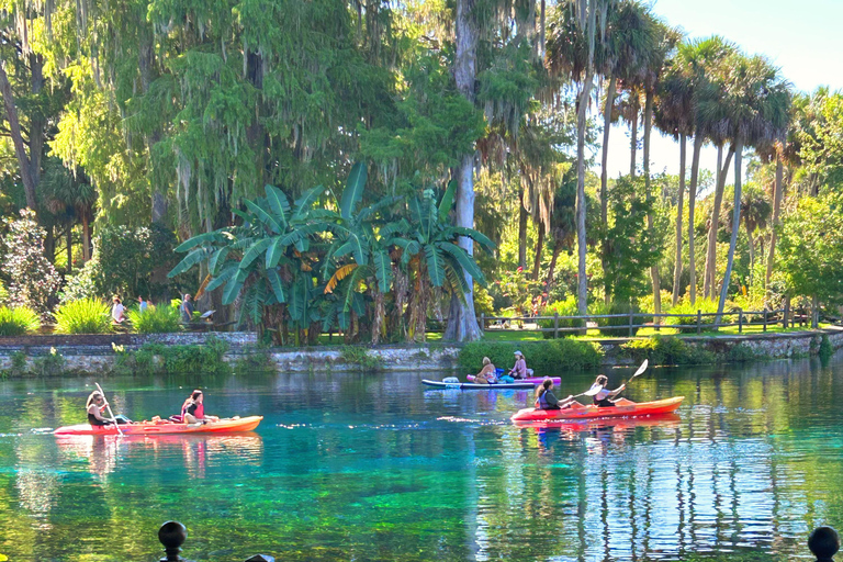 Silver Springs: Jungle Kayaking & Paddleboarding Adventure Paddleboard (Not a Kayak)