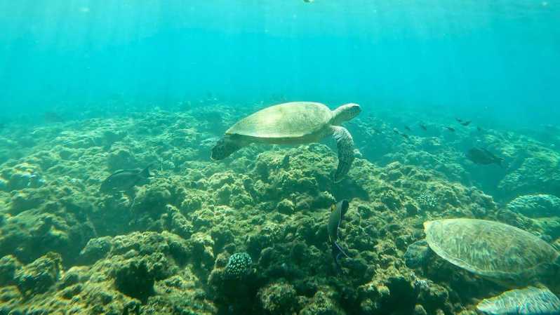 Muscat: Dimaniat Islands Snorkeling Trip