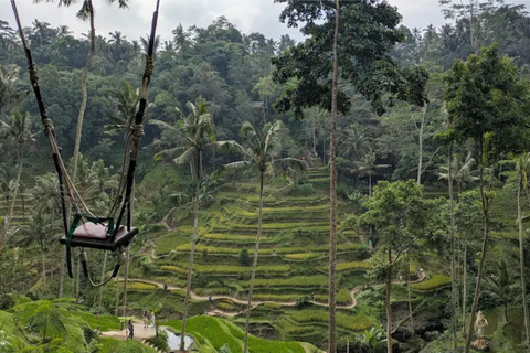 Bali: All-Inclusive Ubud Highlights Tour