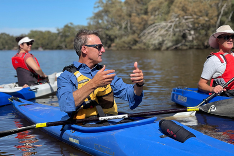珀斯：天鹅河皮划艇之旅，搭配葡萄酒与奶酪