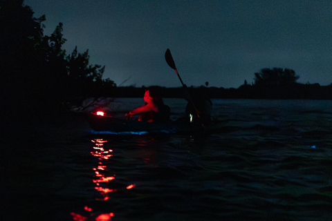 Cocoa Beach/Merritt Island:Bioluminescent kayak tour Single Kayak