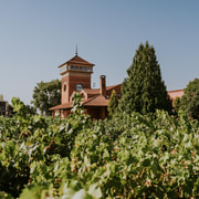 Logroño: Guided Tour + Tasting of 3 Wines at Viña Ijalba
