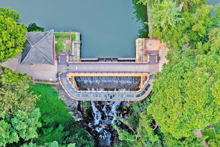 From Seoul: Scenic Lake Day Trip with Cable Car or Cruise Spring : Cable Car + Cherry Blossom Route