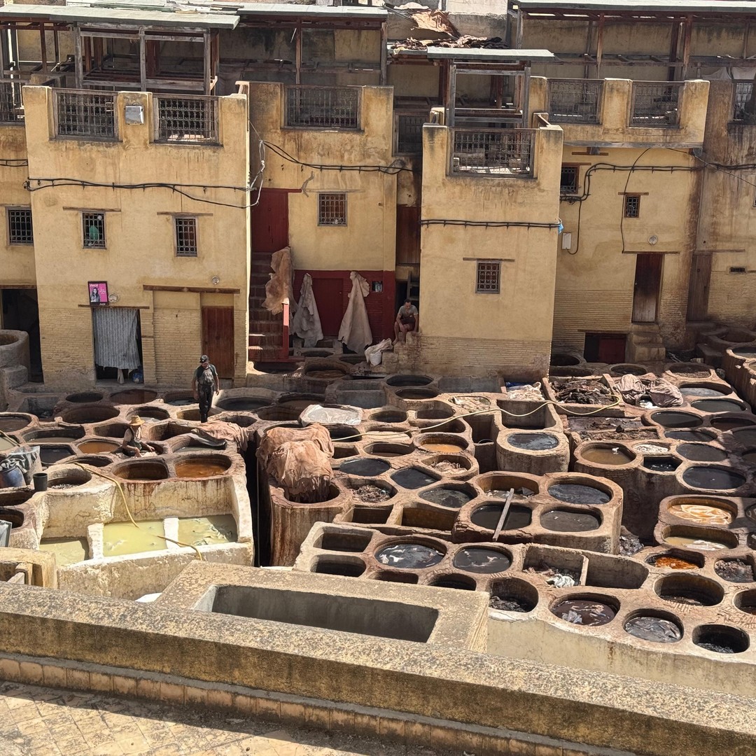 Visite citadine de Fès : découvrez les trésors de la médina