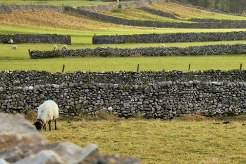 From York: Brontës, Haworth & Wuthering Heights