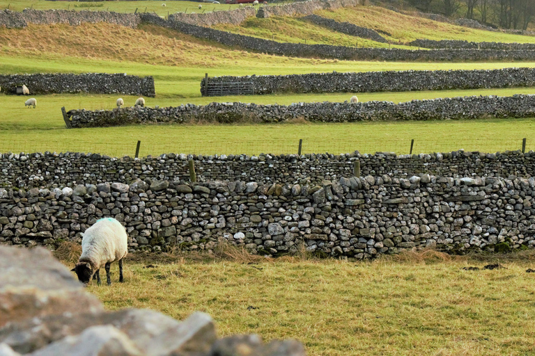 From York: Brontës, Haworth & Wuthering Heights