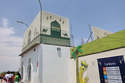 Lima: Ica Camel ride + Huacachina + "Adventure in the Desert" pool Lima: Ica Camel Ride + Huacachina + Swimming Pool "Adventure in the Desert"