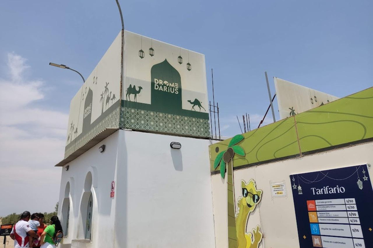 Lima: Ica Camel ride + Huacachina + "Adventure in the Desert" pool Lima: Ica Camel Ride + Huacachina + Swimming Pool "Adventure in the Desert"