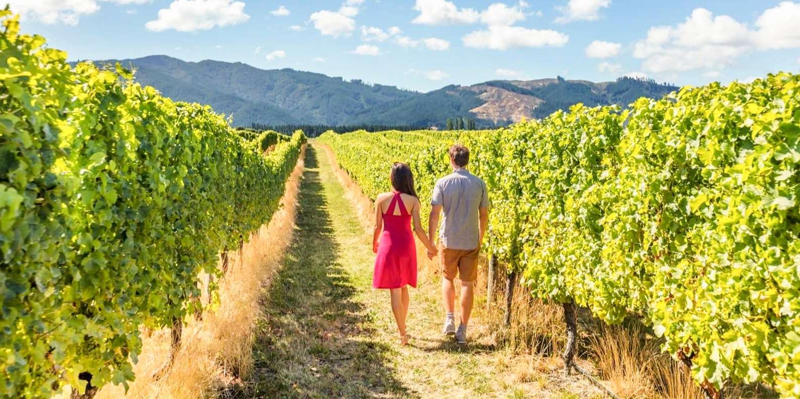 From San Francisco: Alcatraz Night Tour, Muir Woods and Wine