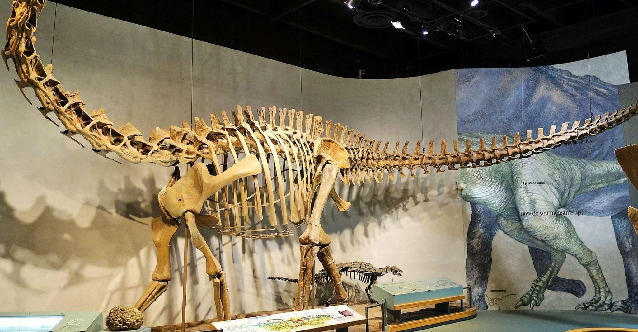 Denver Museum of Nature & Science Ticket & Audio Tour (Eng) - Housity