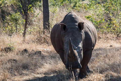 Recorrido de cazaSafari no privado