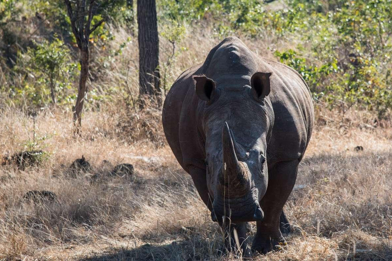 Recorrido de cazaSafari no privado