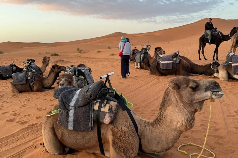 From Marrakech: 3-Day Merzouga Tour with Camel Trek & Luxury Camp Shared Standard Sahara Tour – Popular Choice