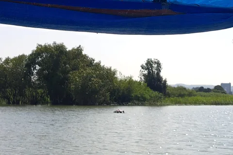Bahir dar Tours