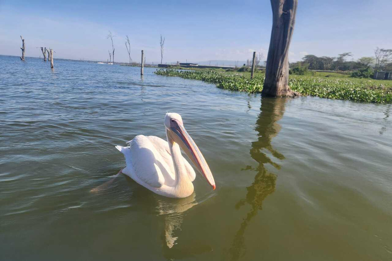 Nairobi: Lake Naivasha & Hell’s Gate National Park Day Trip