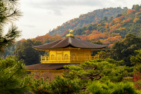 Kyoto/Osaka: Kyoto&Nara Private Customized Guided Tour