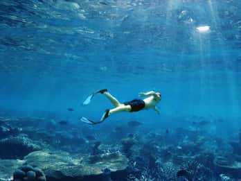 Ko Lanta: Excursión de Aventura con Snorkel a Koh Rok y Koh Haa
