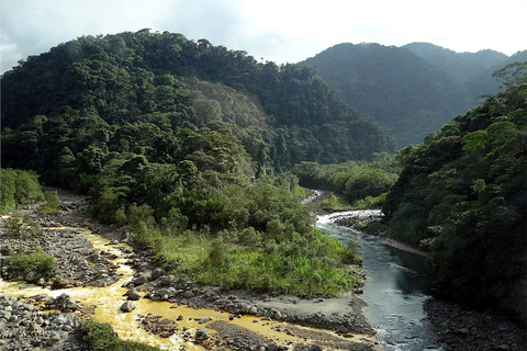 COSTA RICA:UPPTÄCK COSTARICAS VILDA DJUR-STRAND &amp; SKOG 2VECKOR