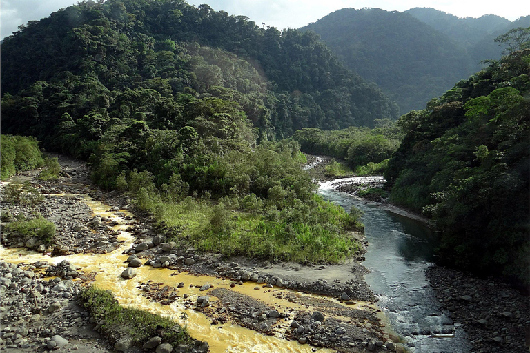 COSTA RICA:UPPTÄCK COSTARICAS VILDA DJUR-STRAND &amp; SKOG 2VECKOR