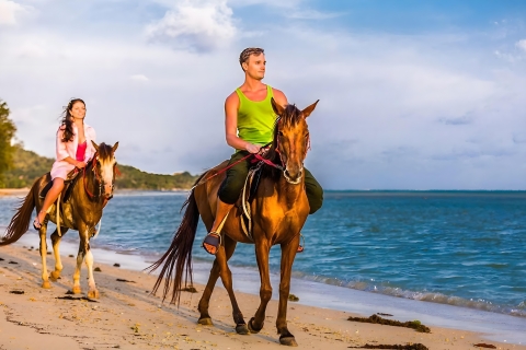 Horseback Riding by Macao Beach and Crystal Clear River Horseback Riding