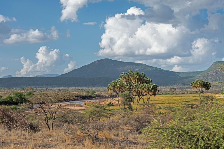 7-dniowe safari na kempingu w Kenii