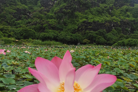 Ninh Binh 2 Dagen 1 Nachten Kleine Groep Van 9 Tour Vanuit Hanoi