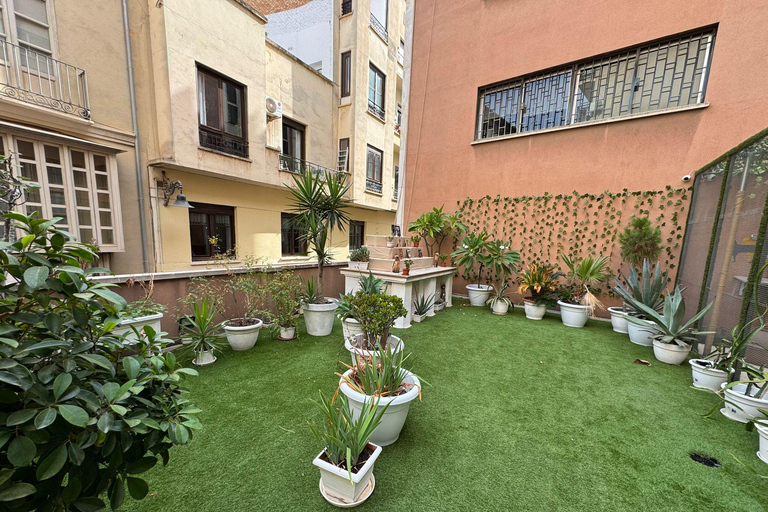 Malaga centro historico: Paws For A Moment Cat Cafe