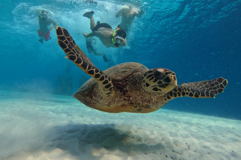 Snorkeling Trip Gili Trawangan Private Glass Bottom Boat