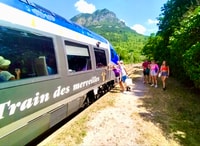 Desde Niza, experiencia en tren a través de los Alpes y la ruta barroca - Hizvo