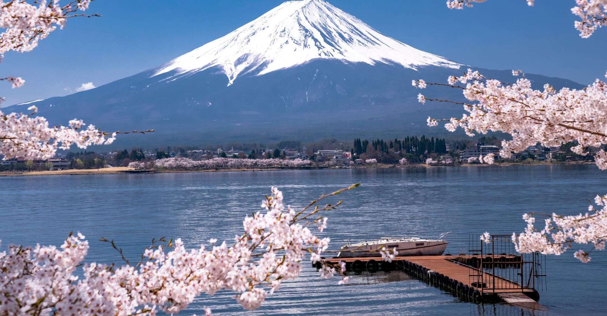 From Tokyo, Mt. Fuji 5th Station & Lake Kawaguchi Bus Tour - Housity