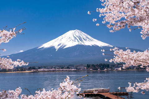 Z Tokio: Mt. Fuji 5th Station i wycieczka autobusowa nad jezioro Kawaguchi