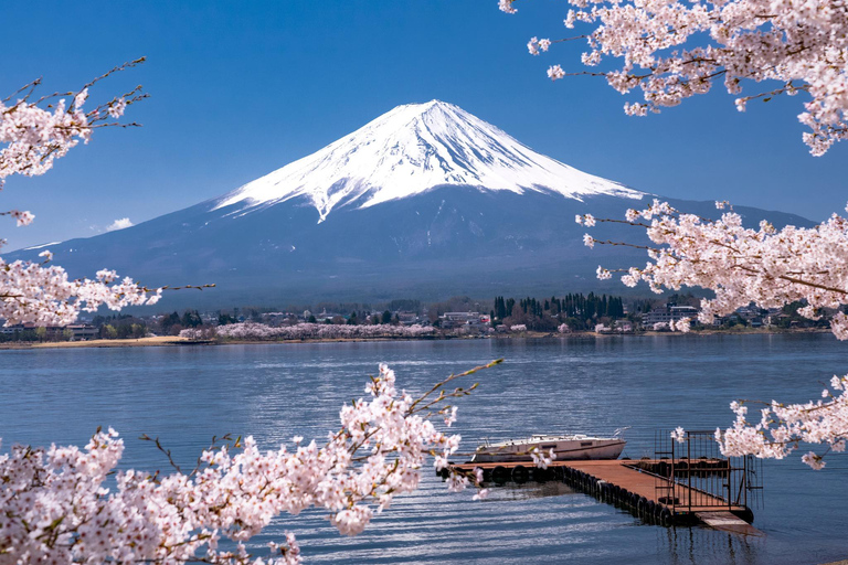 Desde Tokio: Excursión en autobús por la 5ª Estación del Monte Fuji y el Lago Kawaguchi