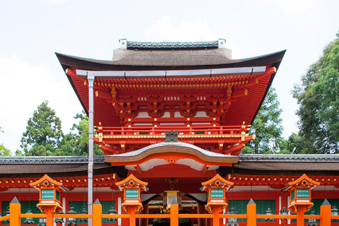 A Thousand Blossoms & Deer: Nara Spring Day Tour