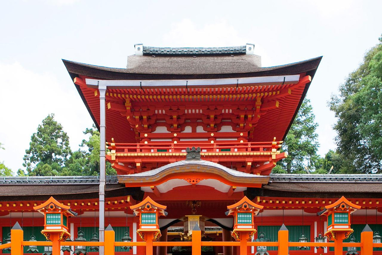 A Thousand Blossoms & Deer: Nara Spring Day Tour