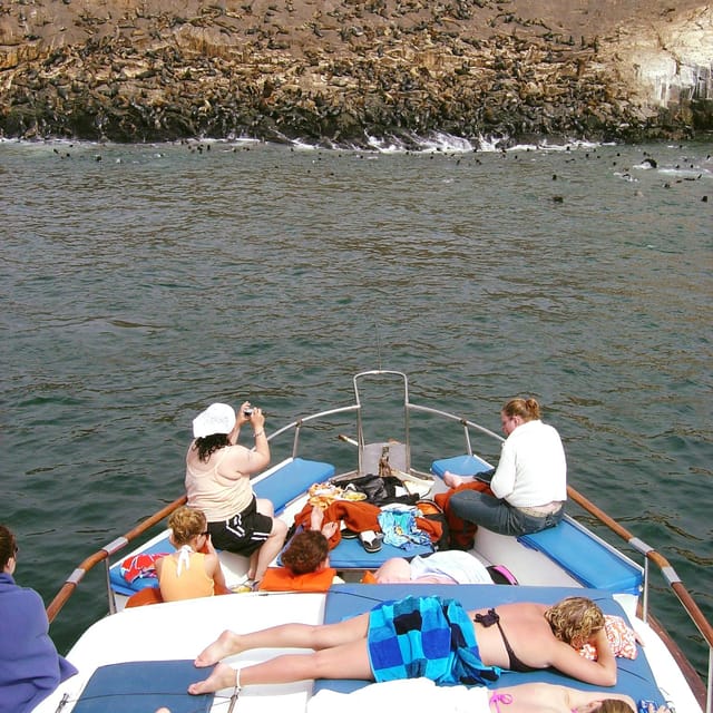 Visite Des îles Palomino En Yacht Et Nagez Avec Les Lions De Mer ...