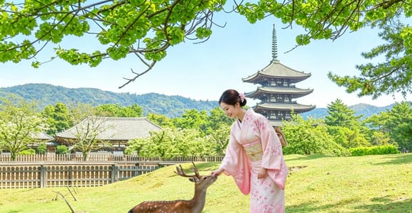 Osaka: Kyoto & Nara & Uji Historical and Scenic One-Day Tour