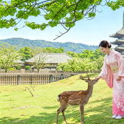 Kyoto/Osaka: Nara, Arashiyama, Fushimi Inari Taisha Day Tour