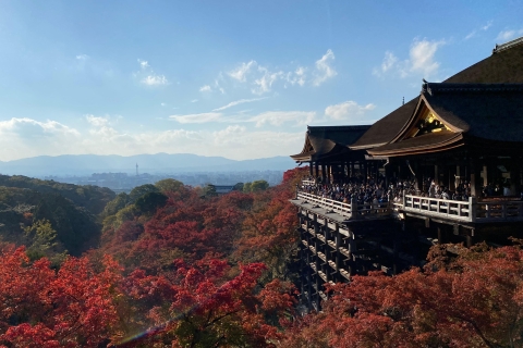 Kyoto: Ganztägige Fahrradtour zu den Highlights der Stadt mit leichtem Mittagessen