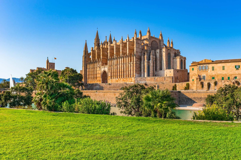 Mallorca: Cathedral tour, views of Bellver Castle, and ensaïmada Shared excursion with a meeting point