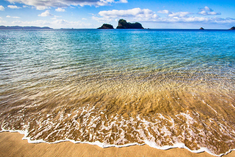 Depuis Auckland : Cathedral Cove et Hot Water Beach