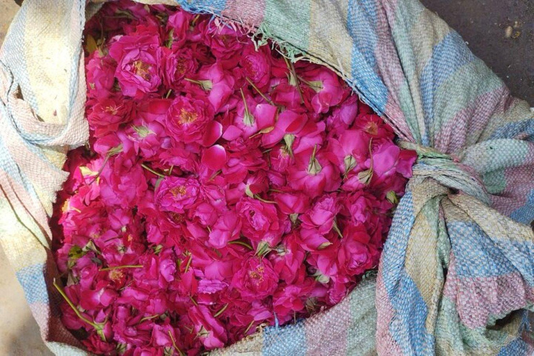 From Delhi to Varanasi Tour (2 Days)