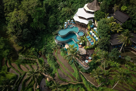 Ubud: Monkey Forest, Cretya Pool & Zipline Shared Tour Private Tour with Hotel Transfer - No Tickets