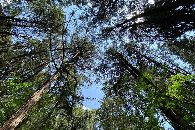 3 Days Short excursion around Addis Ababa