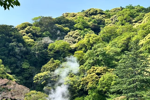 Beppu: 7 Hells of Beppu Tour Ticket