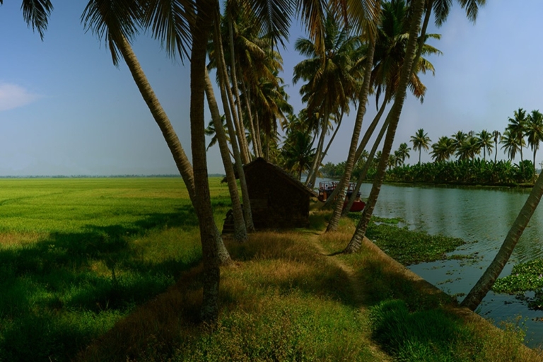 Kerala: Wycieczka do ukrytych skarbów: Według podróżnych Fantastycznie:Kerala: Atrakcje Poza stroną: Według podróżnych Fantastyczne: